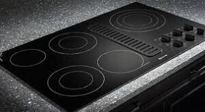 ESTUFA DE INDUCIION1